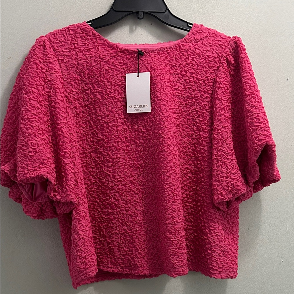Sugarlips Hot Pink Crinkle Short Sleeve Crop Top